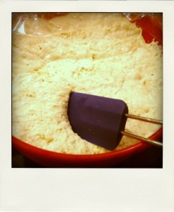 DSC03889-pola DSC03889-pola