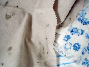 Untitled-1 Untitled-1