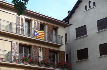 P1070570 (2) (800x531)