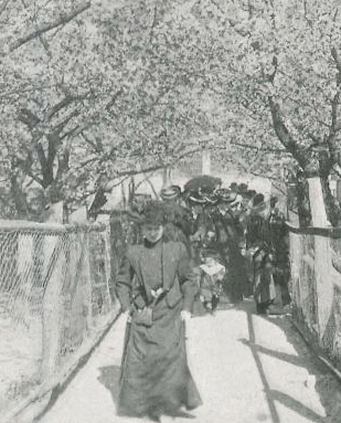 berliner leben 1905 werder (3)