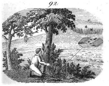 neuer orbis pictus 1832vogelgarn