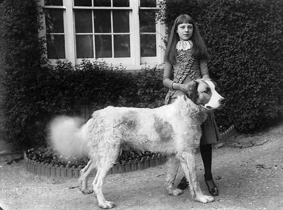 4308421805_c429df42fb_o