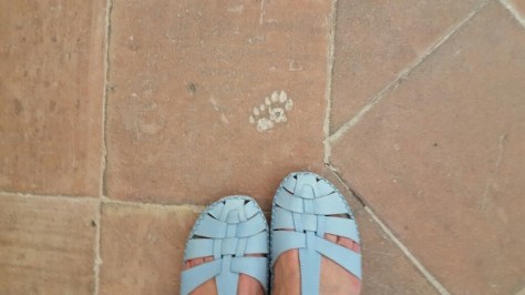 6171472478525216 (800x450)