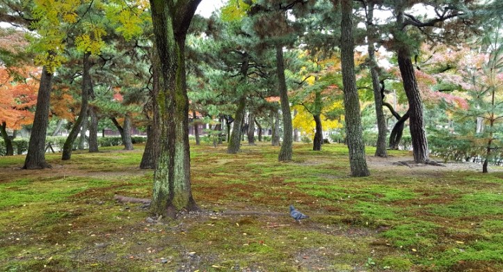 20161119_034815-800x433