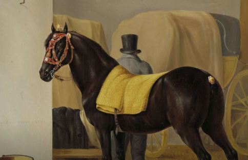 horse1828