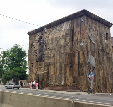 20170613_160937 (800x756)