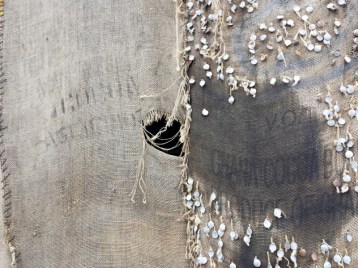 20170613_161138 (800x600)