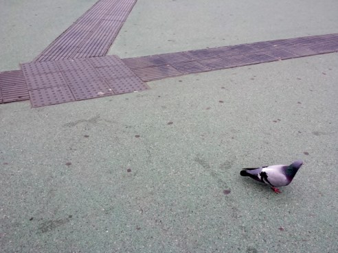 20170613_192540 (800x600)