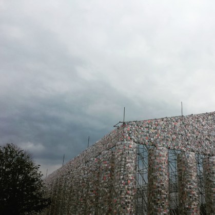 IMG_20170613_235003_663 (800x800)