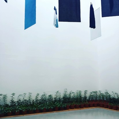 IMG_20170614_000253_910 (800x800)