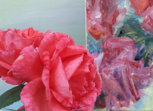 20170923_122805 (800x580)