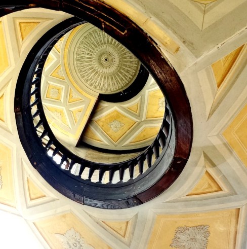 20180601_115030 (794x800)